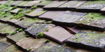 Soham roof repair costs